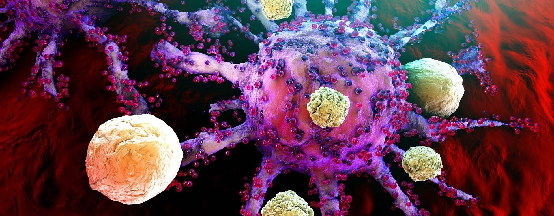 Cell Therapy