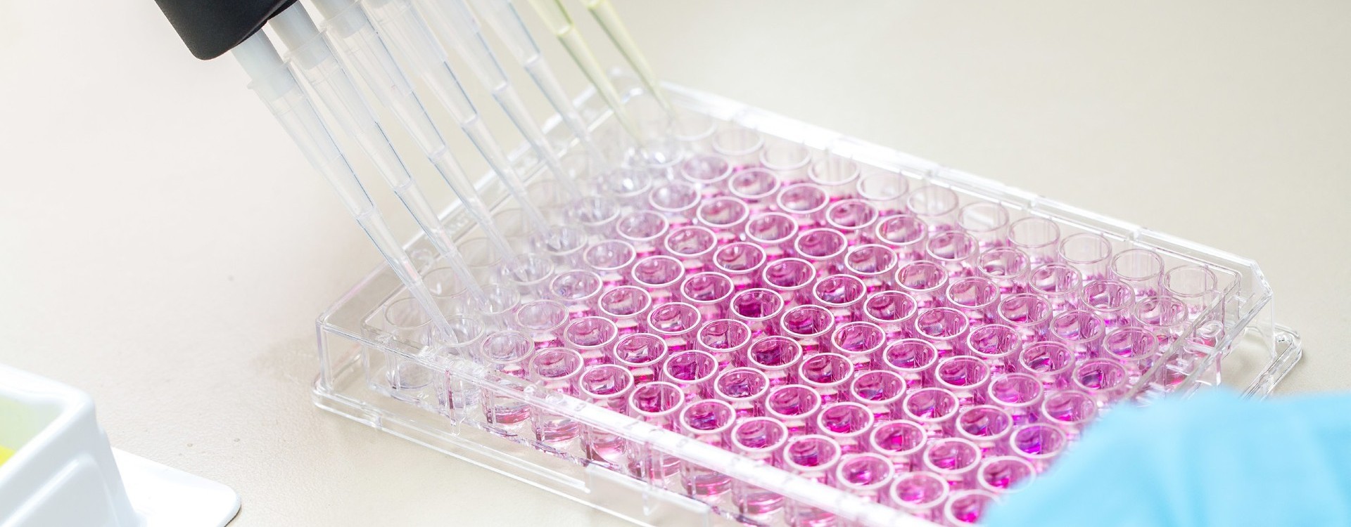 Cell Therapy